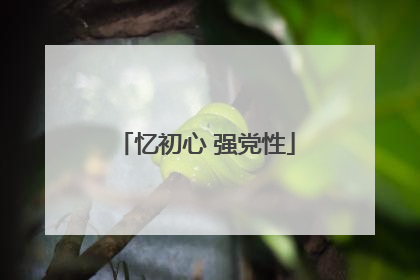 忆初心 强党性