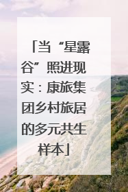 当“星露谷”照进现实：康旅集团乡村旅居的多元共生样本