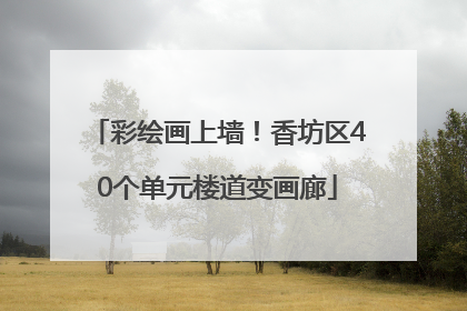 彩绘画上墙！香坊区40个单元楼道变画廊