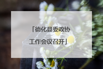 德化县委政协工作会议召开