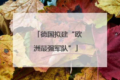 德国拟建“欧洲最强军队”