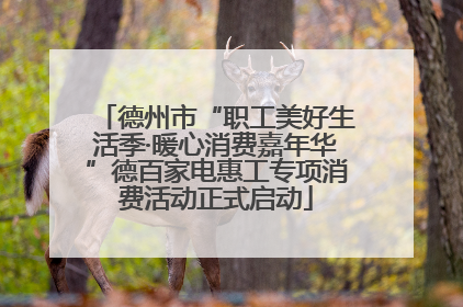 德州市“职工美好生活季·暖心消费嘉年华”德百家电惠工专项消费活动正式启动