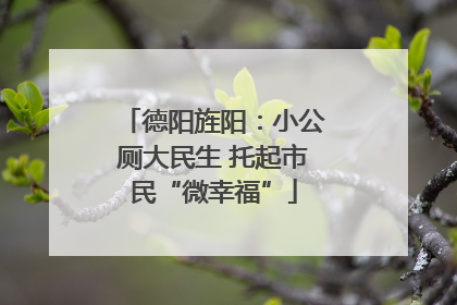 德阳旌阳：小公厕大民生 托起市民“微幸福”