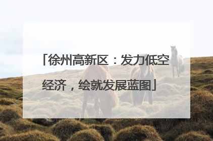 徐州高新区：发力低空经济，绘就发展蓝图