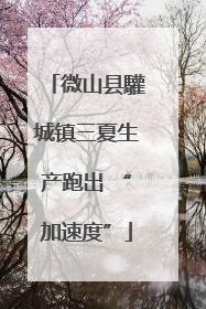 微山县驩城镇三夏生产跑出 “加速度”