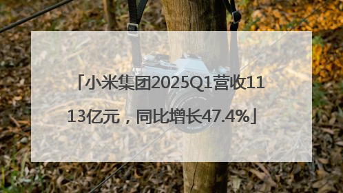 小米集团2025Q1营收1113亿元，同比增长47.4%