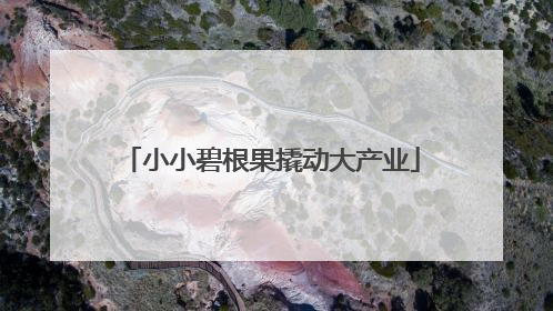 小小碧根果撬动大产业