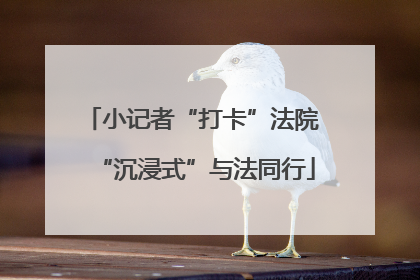 小记者“打卡”法院 “沉浸式”与法同行