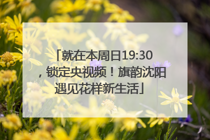就在本周日19:30，锁定央视频！旗韵沈阳 遇见花样新生活