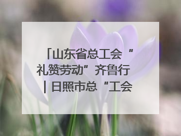 山东省总工会“礼赞劳动”齐鲁行｜日照市总“工会法律在线”解决职工愁“薪”事