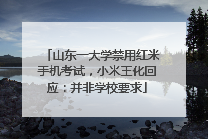 山东一大学禁用红米手机考试，小米王化回应：并非学校要求