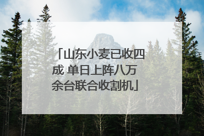 山东小麦已收四成 单日上阵八万余台联合收割机