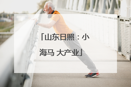 山东日照：小海马 大产业