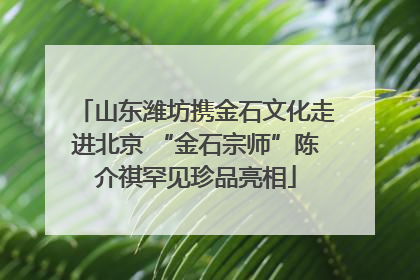 山东潍坊携金石文化走进北京 “金石宗师”陈介祺罕见珍品亮相