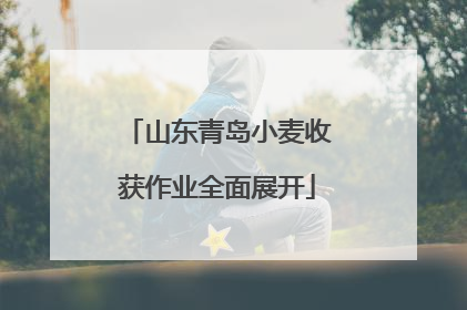 山东青岛小麦收获作业全面展开