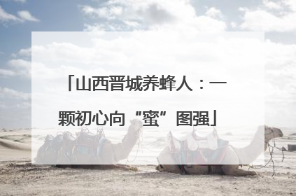山西晋城养蜂人：一颗初心向“蜜”图强