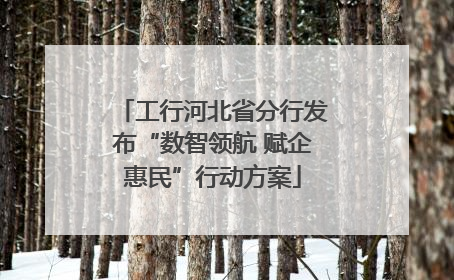 工行河北省分行发布“数智领航 赋企惠民”行动方案