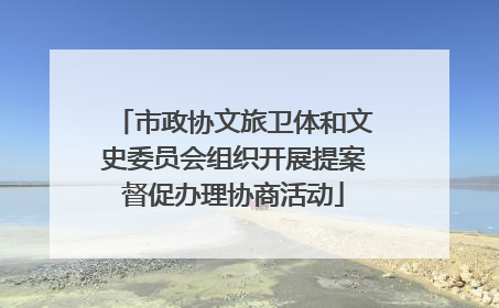 市政协文旅卫体和文史委员会组织开展提案督促办理协商活动