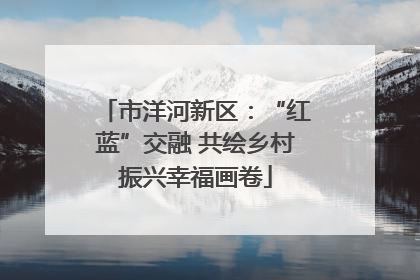 市洋河新区：“红蓝”交融 共绘乡村振兴幸福画卷
