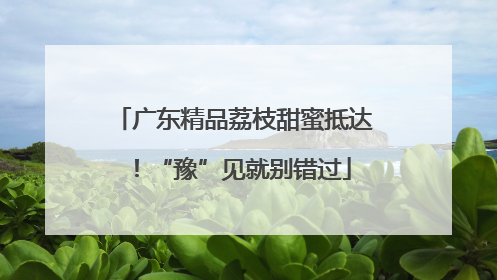广东精品荔枝甜蜜抵达！“豫”见就别错过