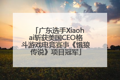 广东选手Xiaohai斩获美国CEO格斗游戏电竞赛事《饿狼传说》项目冠军