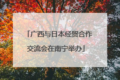 广西与日本经贸合作交流会在南宁举办