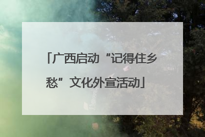 广西启动“记得住乡愁”文化外宣活动