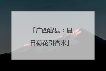 广西容县：夏日荷花引客来