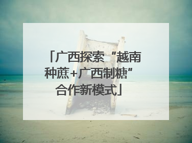 广西探索“越南种蔗+广西制糖”合作新模式