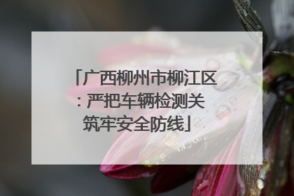 广西柳州市柳江区：严把车辆检测关 筑牢安全防线