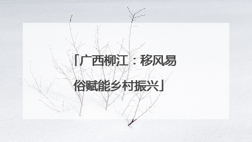 广西柳江：移风易俗赋能乡村振兴