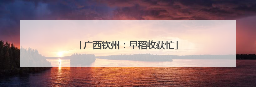 广西钦州：早稻收获忙
