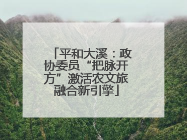 平和大溪：政协委员“把脉开方”激活农文旅融合新引擎