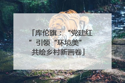 库伦旗：“党建红”引领“环境美” 共绘乡村新画卷
