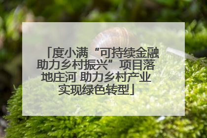 度小满“可持续金融助力乡村振兴”项目落地庄河 助力乡村产业实现绿色转型