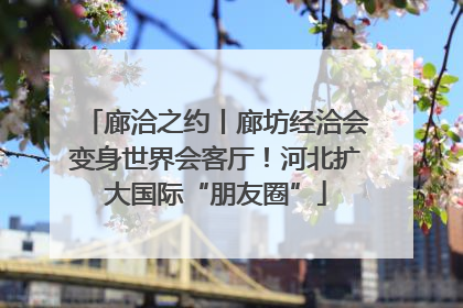 廊洽之约丨廊坊经洽会变身世界会客厅！河北扩大国际“朋友圈”