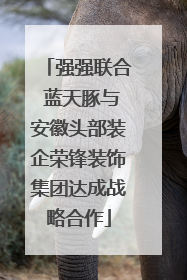 强强联合 蓝天豚与安徽头部装企荣锋装饰集团达成战略合作