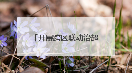 开展跨区联动治超，湖北鄂州黄冈交通运输执法部门联手整治“百吨王”