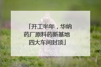 开工半年，华纳药厂原料药新基地四大车间封顶