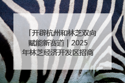 开辟杭州和林芝双向赋能新赛道｜2025年林芝经济开发区招商引资（杭州）推介展销活动在杭举办