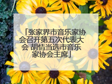 张家界市音乐家协会召开第五次代表大会 胡情当选市音乐家协会主席