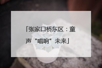 张家口桥东区：童声“唱响”未来