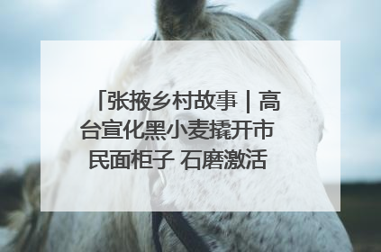 张掖乡村故事｜高台宣化黑小麦撬开市民面柜子 石磨激活村集体钱匣子
