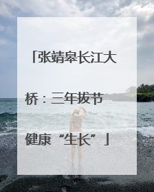 张靖皋长江大桥：三年拔节 健康“生长”