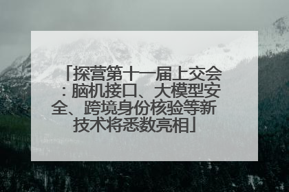 探营第十一届上交会：脑机接口、大模型安全、跨境身份核验等新技术将悉数亮相
