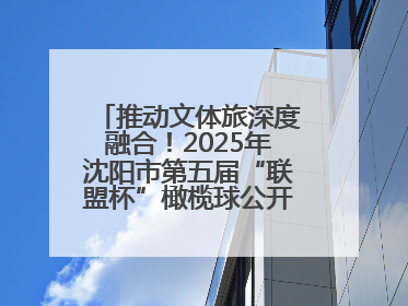 推动文体旅深度融合！2025年沈阳市第五届“联盟杯”橄榄球公开赛燃情开赛