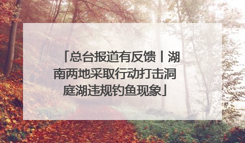 总台报道有反馈丨湖南两地采取行动打击洞庭湖违规钓鱼现象