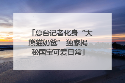 总台记者化身“大熊猫奶爸” 独家揭秘国宝可爱日常