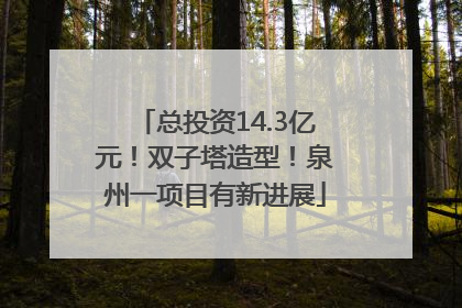 总投资14.3亿元！双子塔造型！泉州一项目有新进展