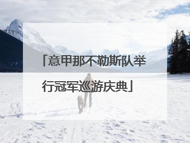 意甲那不勒斯队举行冠军巡游庆典